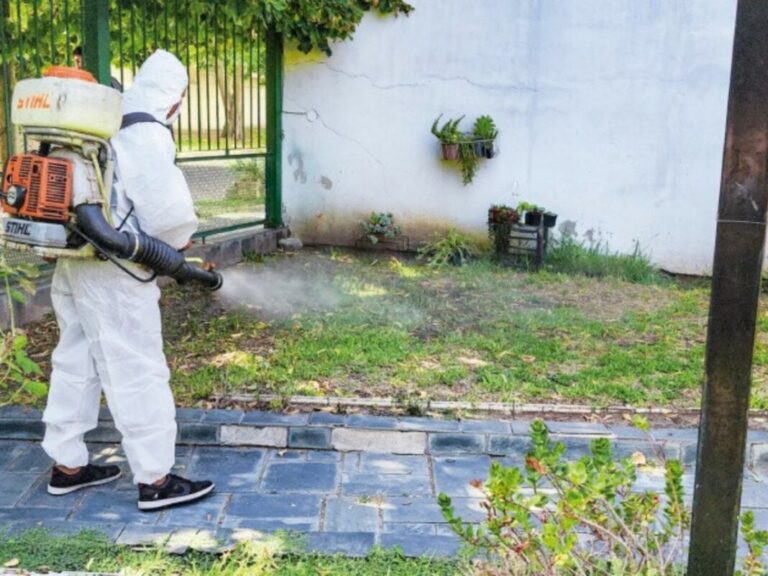 Dengue: rige el estado de alerta en los municipios bonaerenses